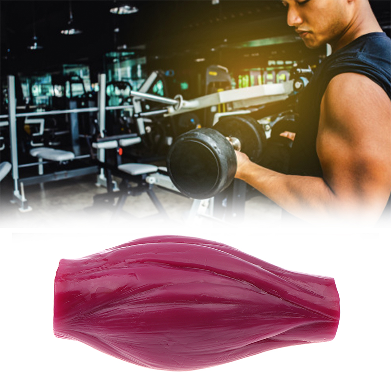 Nutrition And Fitness Courses - 1lb Muscle para Manter a Forma